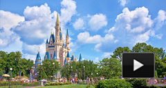 Orlando Vacation Orlando Vacation